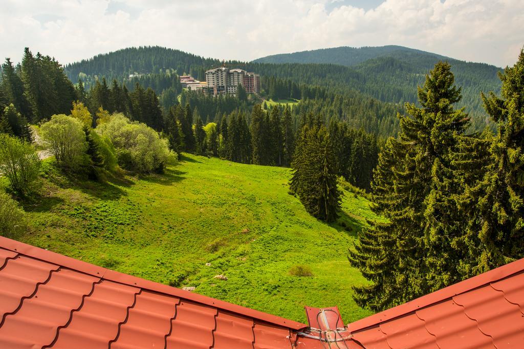 Snezhanka Hotel Пампорово Екстер'єр фото